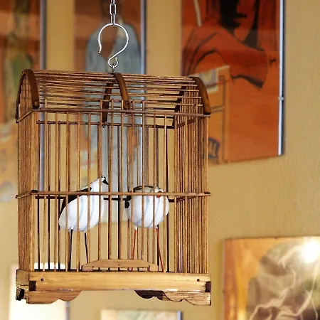 Chambres D'hotes Le Secret Du Chat *