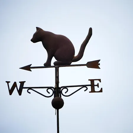 Gasthuis Chambres D'hotes Le Secret Du Chat